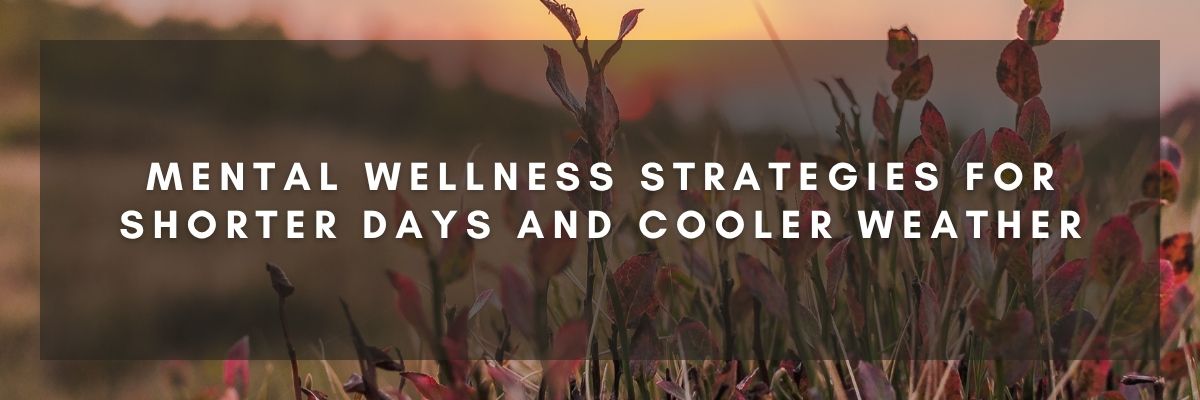 Mental Wellness Strategies for Shorter Days and Cooler Weather